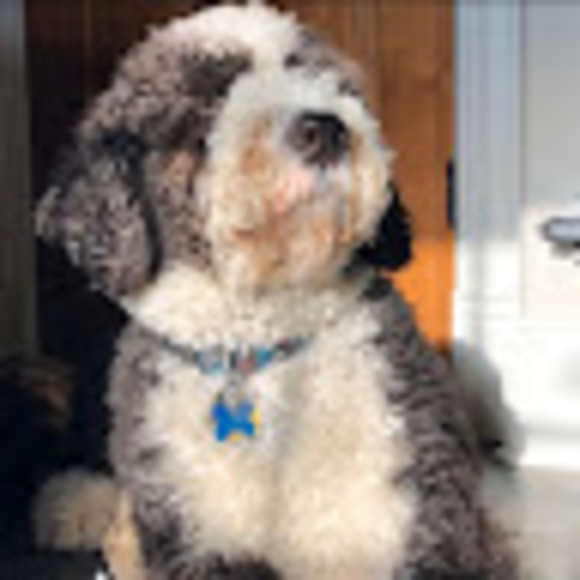 Meet the Posher Other - Meet your Posher, Jocelyn